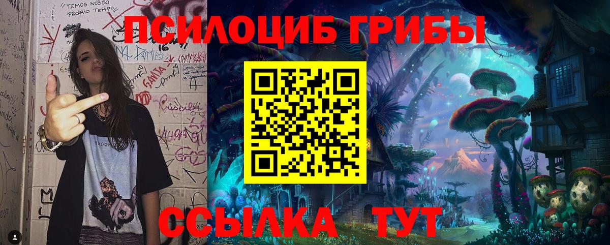 Псилоцибиновые грибы мицелий  Вход с VPN  Кирово-Чепецк  где купить   Галлюциногенные грибы прущие грибы 